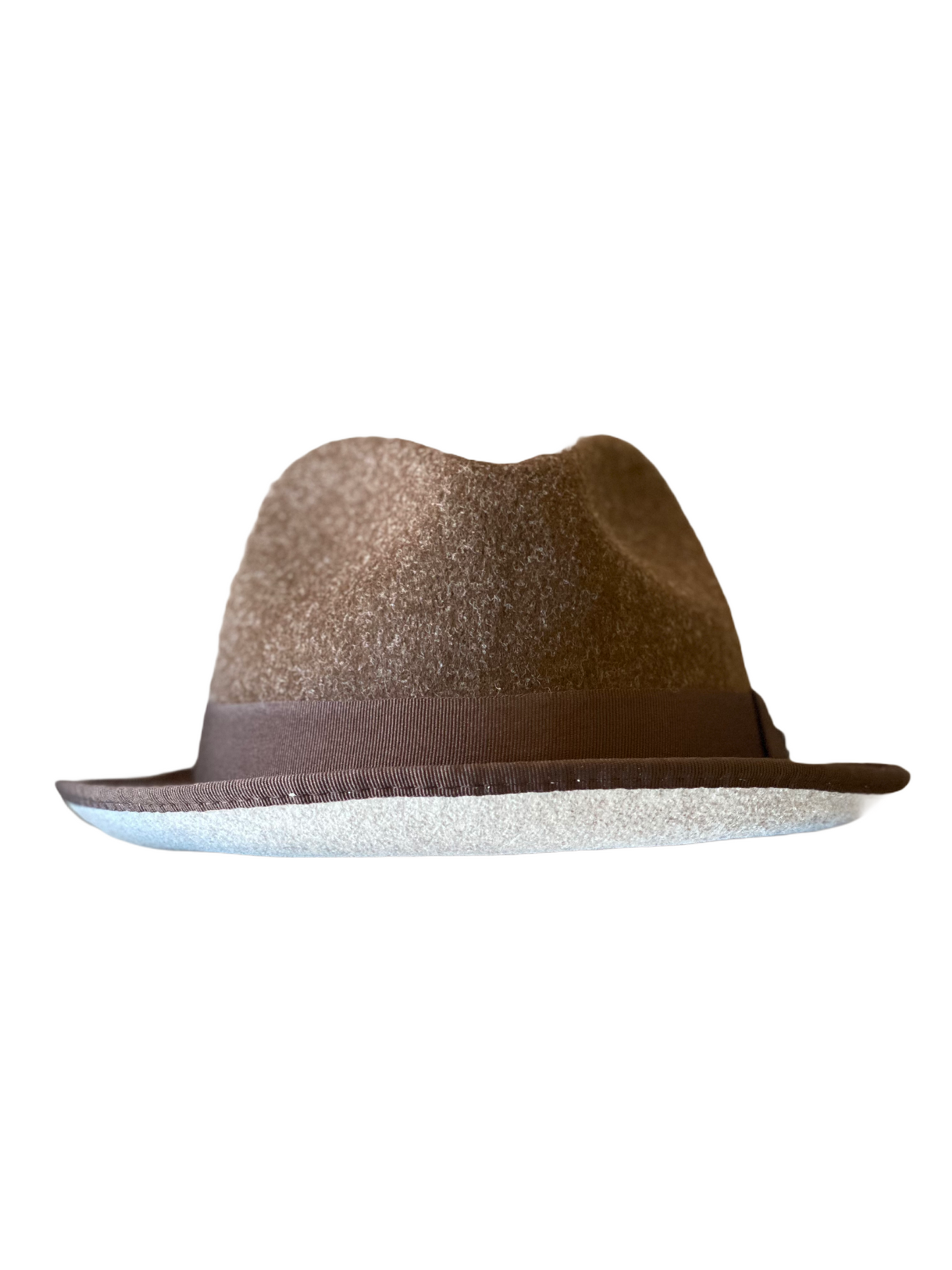 Two-Toned Fedora