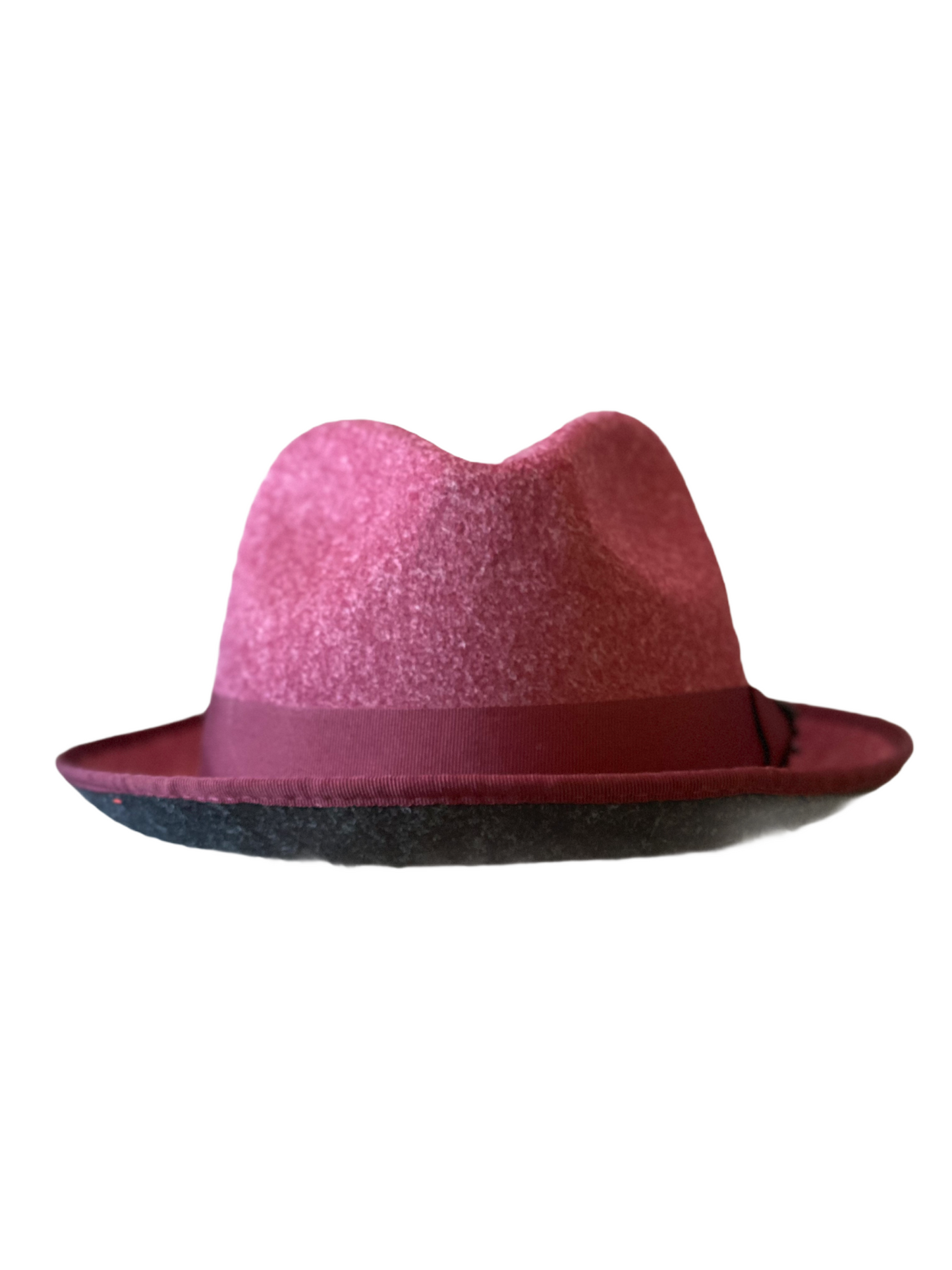 Two-Toned Fedora